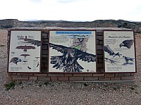 Big horn N.P_20.JPG